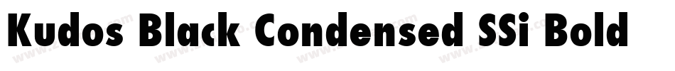 Kudos Black Condensed SSi Bold Condensed字体转换